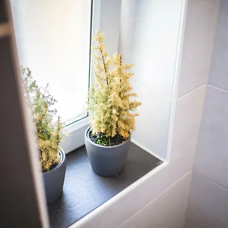 Alpi * ガルミッシュ・パルテンキルヒェン